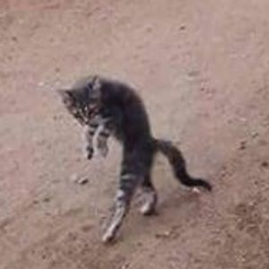 Meet your Posher, Maegan